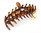 Große Haarklammer havanna-braun - 12 cm